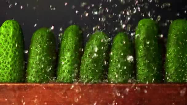 Super powolny ruch na świeże ogórki z rzędu krople wody. Nagrywane na szybkiej kamerze z prędkością 1000 fps. — Wideo stockowe