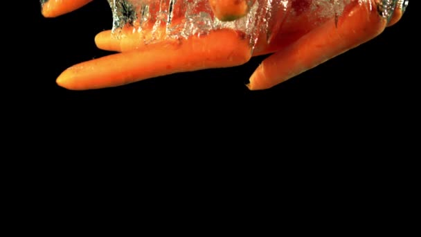 Super slow motion carota fresca cade sotto l'acqua con bolle d'aria. Girato su una telecamera ad alta velocità a 1000 fps — Video Stock