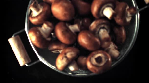 Super slow motion del colabrodo con funghi cade sull'acqua con spruzzi. Girato a 1000 fps. — Video Stock