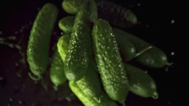 In Superzeitlupe steigen frische Gurken auf. Gefilmt mit einer Hochgeschwindigkeitskamera bei 1000 fps. — Stockvideo