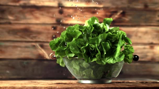Szuper lassú mozgású vízcseppek esnek saláta levelekre.Filmre 1000 fps. — Stock videók