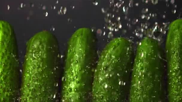 Super ralenti sur une rangée de concombres gouttes d'eau. Filmé par une caméra haute vitesse à 1000 ips. — Video