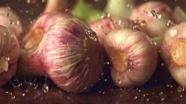 Superzeitlupe Wassertropfen fallen auf den Knoblauch. Gefilmt mit einer Hochgeschwindigkeitskamera bei 1000 fps. — Stockvideo