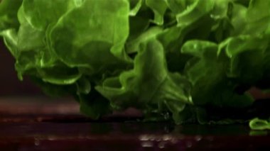 Süper yavaş çekimde taze marul yaprakları masaya düşer. 1000 fps hızla yüksek hızda kameraya alınır..