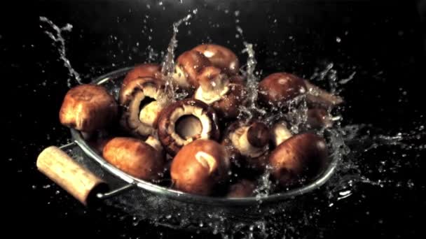 Funghi super lenti cadono sull'acqua con spruzzi. Girato su una telecamera ad alta velocità a 1000 fps. — Video Stock