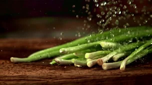 Mouvement super lent sur les oignons verts goutte gouttelettes d'eau. Filmé par une caméra à grande vitesse à 1000 ips. — Video