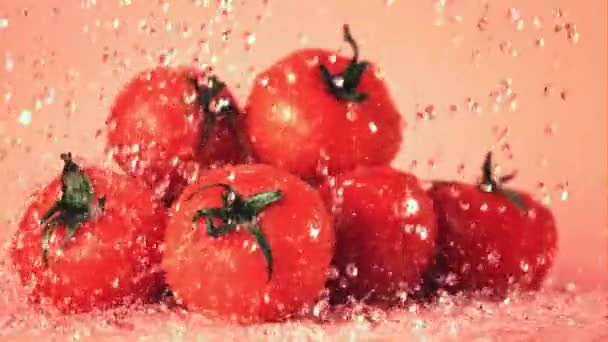Super cámara lenta en los tomates maduros gota de agua. Filmado en una cámara de alta velocidad a 1000 fps. — Vídeos de Stock