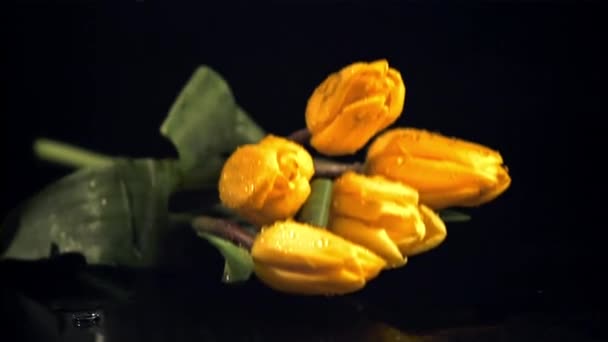 Super slow motion un bouquet de fleurs de tulipes tombe avec des éclaboussures sur la table. Filmé à 1000 ips. — Video