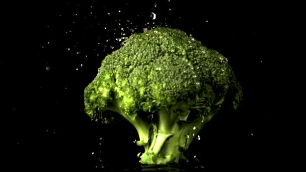 Superzeitlupe auf Brokkoli Tropfen Wassertropfen. Gefilmt mit einer Hochgeschwindigkeitskamera bei 1000 fps. — Stockvideo