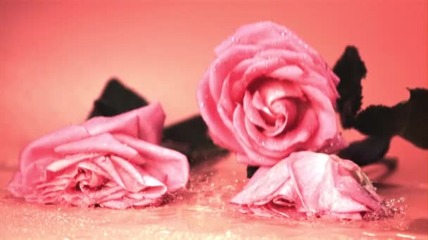 Сверхмедленные розовые цветы падают на стол со струями воды. Снято на высокоскоростную камеру со скоростью 1000 кадров в секунду. — стоковое видео