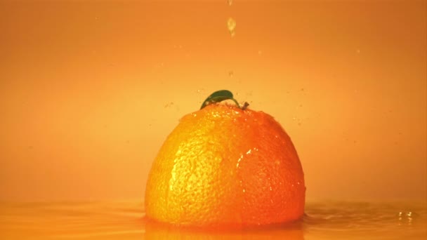 Super lassított felvétel egy érett narancs csepp egy csepp gyümölcslé. 1000 fps sebességű kamerával filmezve. — Stock videók