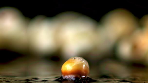 Le mouvement super lent du grain de maïs soufflé explose. Filmé par une caméra haute vitesse à 1000 ips. — Video