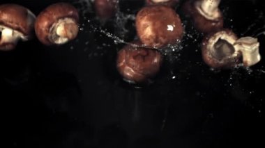 Super slow motion mushrooms fall on the water with splashes. Filmed at 1000 fps.