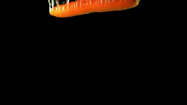 Super zpomalení jeden čerstvý mrkev spadá pod vodu se vzduchovými bublinami. Natočeno na vysokorychlostní kameře rychlostí 1000 snímků za sekundu. — Stock video