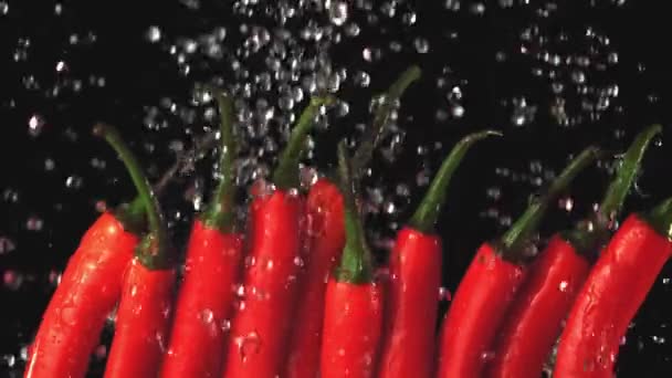 Super slow motion su peperoncino rosso piccante gocce d'acqua. Girato su una telecamera ad alta velocità a 1000 fps. — Video Stock
