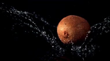 Süper yavaş çekimde olgun kivi suya su sıçratarak düşer. 1000 fps hızla yüksek hızlı bir kamerayla çekildi..