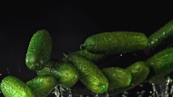 Super slow motion fresh cucumbers rise up. Filmed on a high-speed camera at 1000 fps. — Stock Video