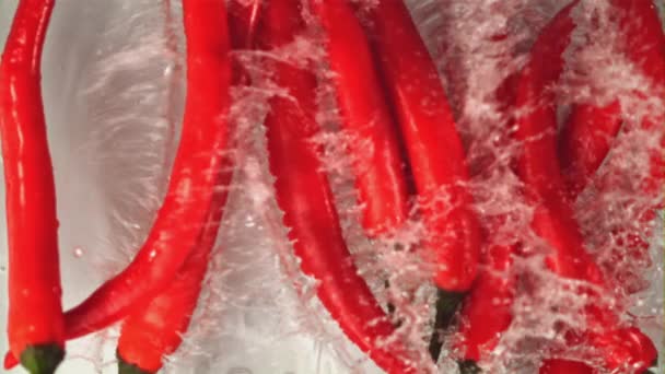 Super slow motion verse chili peper valt in het water met spatten. Gefilmd op een hoge snelheidscamera met 1000 fps. — Stockvideo