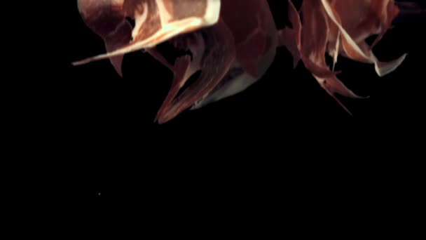 超级慢动作片芬芳的西班牙火腿坠落。以1000 fps的速度拍摄. — 图库视频影像