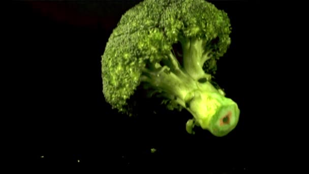 Super slow motion een broccoli valt op de tafel met spatten water. Gefilmd met 1000 fps. — Stockvideo