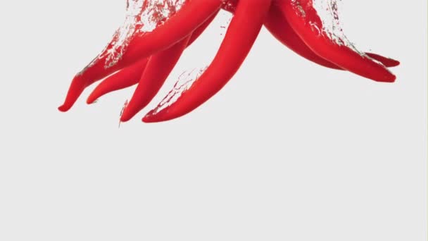 Super slow motion chili peper valt onder het water met luchtbellen. Gefilmd op een hoge snelheidscamera met 1000 fps. — Stockvideo