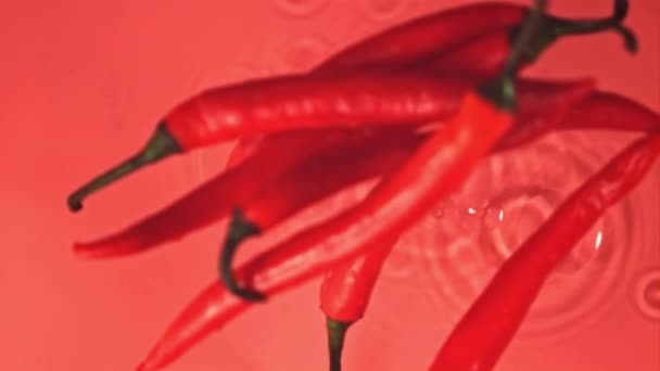 Super Zeitlupe rote Chilischote fällt mit Spritzern auf das Wasser. Gefilmt mit einer Hochgeschwindigkeitskamera bei 1000 fps. — Stockvideo