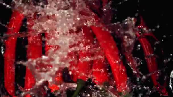 Vagens de movimento super lento de pimenta vermelha caem sobre a água com salpicos. Filmado em uma câmera de alta velocidade a 1000 fps. — Vídeo de Stock