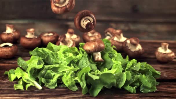 Las setas de cámara lenta súper caen sobre las hojas de lechuga.Filmado en una cámara de alta velocidad a 1000 fps. — Vídeos de Stock