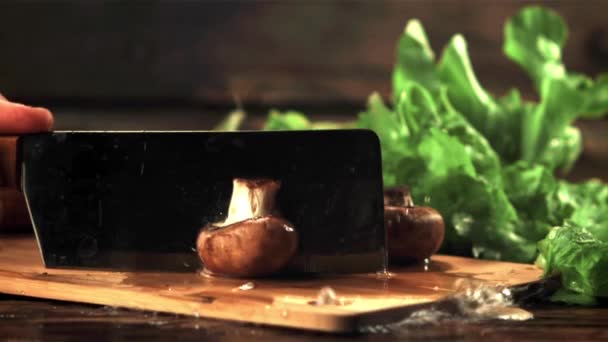 Super slow motion verse paddenstoel in stukken gesneden met een mes. Gefilmd met 1000 fps. — Stockvideo