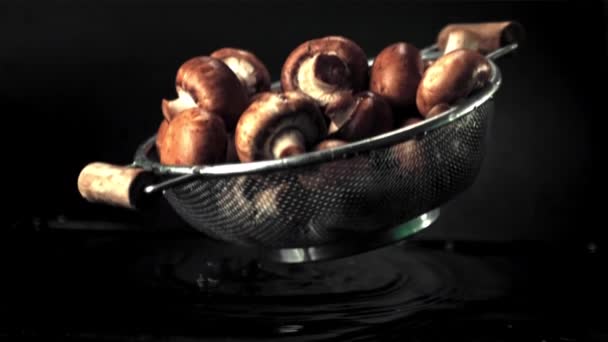 Super slow motion del colabrodo con funghi cade sull'acqua con spruzzi. Girato su una telecamera ad alta velocità a 1000 fps. — Video Stock