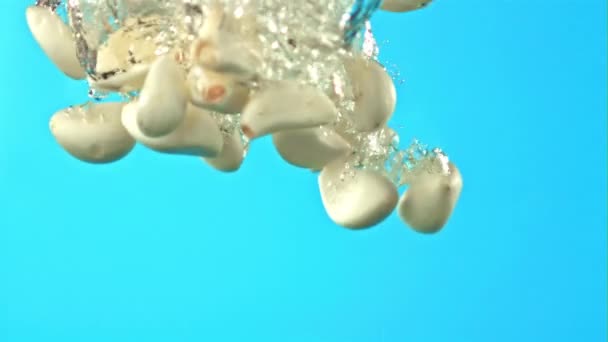 Super slow motion verse knoflook valt onder water op een blauwe achtergrond. Gefilmd op een hoge snelheidscamera met 1000 fps. — Stockvideo