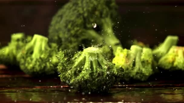 Super Zeitlupe auf Brokkoli Tropfen Tropfen Wasser. Gefilmt mit einer Hochgeschwindigkeitskamera bei 1000 fps. — Stockvideo