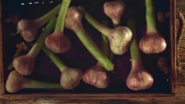 Superzeitlupe Tablett mit Knoblauch fällt auf einen Holztisch. Gefilmt mit einer Hochgeschwindigkeitskamera bei 1000 fps. — Stockvideo