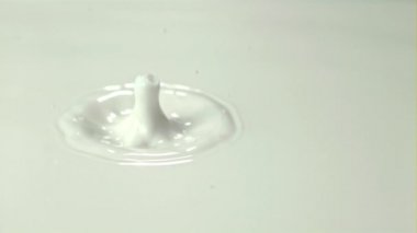 Sütteki süper yavaş düşüş daireler oluşturur. 1000 fps hızla yüksek hızlı bir kamerayla çekildi.