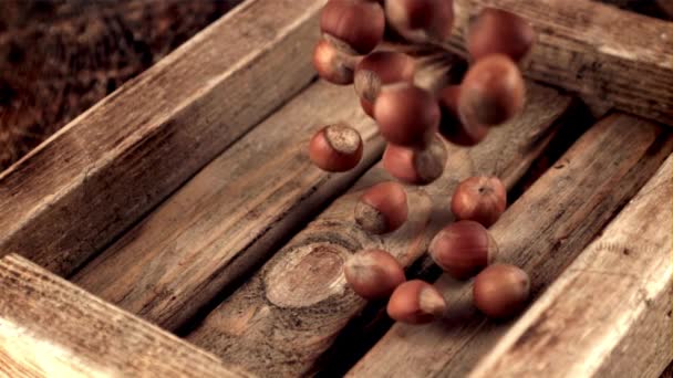 Super slow motion hazelnoten vallen op een houten dienblad. Gefilmd op een hoge snelheidscamera met 1000 fps. — Stockvideo