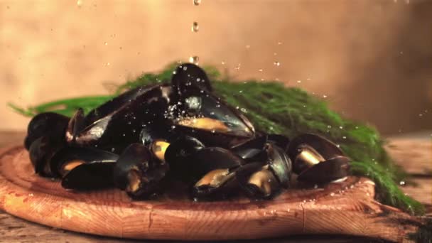 Super cámara lenta en mejillones hervidos con gotas de agua de eneldo. Filmado en una cámara de alta velocidad a 1000 fps. — Vídeo de stock