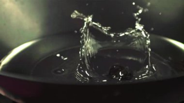 Süper yavaş hareket eden midyeler su sıçratarak suya düşüyorlar. Yüksek hızlı bir kamerayla 1000 fps hızla çekiliyor..