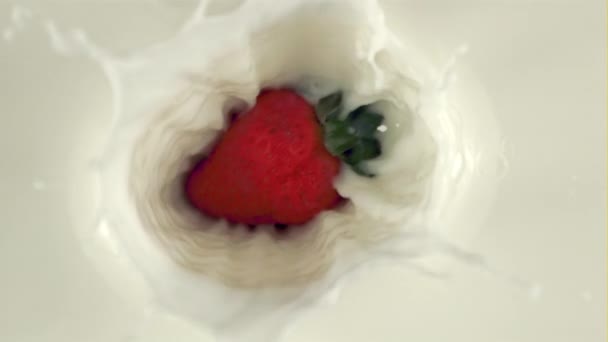 Super slow motion fresh strawberries with splashes falling into the milk. Filmed on a high-speed camera at 1000 fps — Stock Video