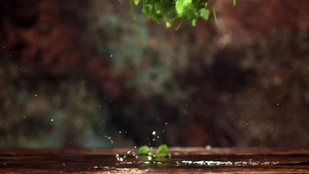 Супер повільний рух листя м'яти падає на стіл. Знято на високошвидкісній камері зі швидкістю 1000 к/с . — стокове відео