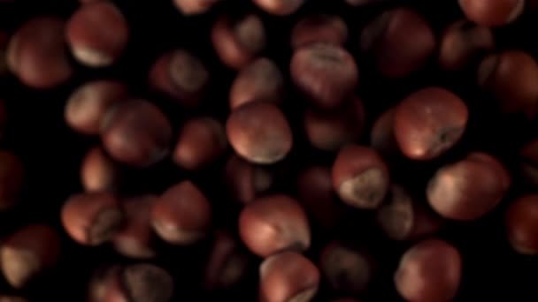 Le nocciole super slow motion decollano e cadono. Girato su una telecamera ad alta velocità a 1000 fps. — Video Stock