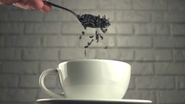 Super slow motion with spoons drop dry tea leaves into a cup. Filmed on a high-speed camera at 1000 fps. — Stock Video