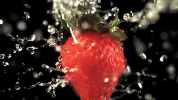 Η εξαιρετικά αργή κίνηση της φράουλας περιστρέφεται με σταγονίδια νερού. Τραβηγμένο σε κάμερα υψηλής ταχύτητας στα 1000 fps — Αρχείο Βίντεο