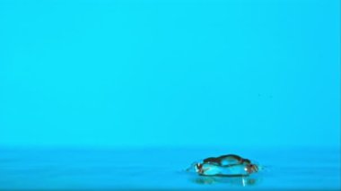 Su damlasının süper yavaş çekimi mavi zemine düşüyor. 1000 fps hızla yüksek hızlı bir kamerayla çekildi.. 