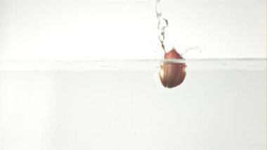 Süper yavaş çekimde sarımsak karanfilleri beyaz arka planda suyun altına düşer. 1000 fps hızla yüksek hızlı bir kamerayla çekildi.. 