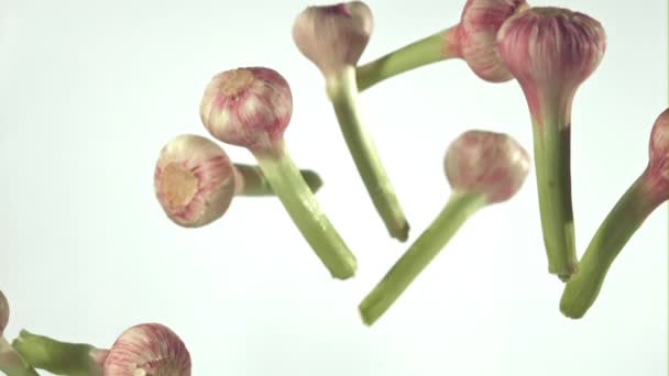 Super-Zeitlupe Knoblauch fällt auf weißem Hintergrund. Gefilmt mit einer Hochgeschwindigkeitskamera bei 1000 fps. — Stockvideo