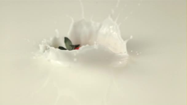 Super powolny ruch jedna świeża truskawka wpada do mleka. Nagrywane na szybkiej kamerze z prędkością 1000 fps — Wideo stockowe