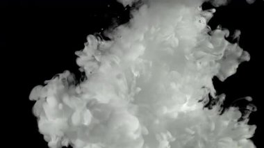 Siyah arka planda beyaz mürekkep. 1000 fps 'de yüksek hızlı bir kamerayla çekildi. Yüksek kaliteli FullHD görüntüler