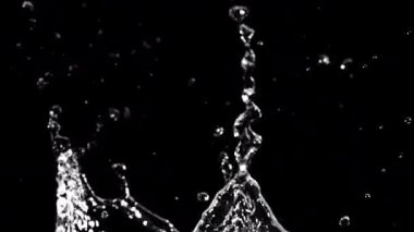 Siyah arka planda su damlaları. 1000 fps 'de yüksek hızlı bir kamerayla çekildi. Yüksek kaliteli FullHD görüntüler