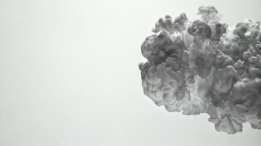 Beyaz arka planda suda beyaz boya. 1000 fps 'de yüksek hızlı bir kamerayla çekildi. Yüksek kaliteli FullHD görüntüler