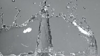 Arka planda hafif su damlaları var. 1000 fps 'de yüksek hızlı bir kamerayla çekildi. Yüksek kaliteli FullHD görüntüler